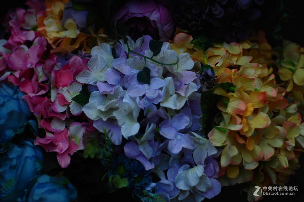 百丽老镜头 CC.Auto  55/1.8 试拍