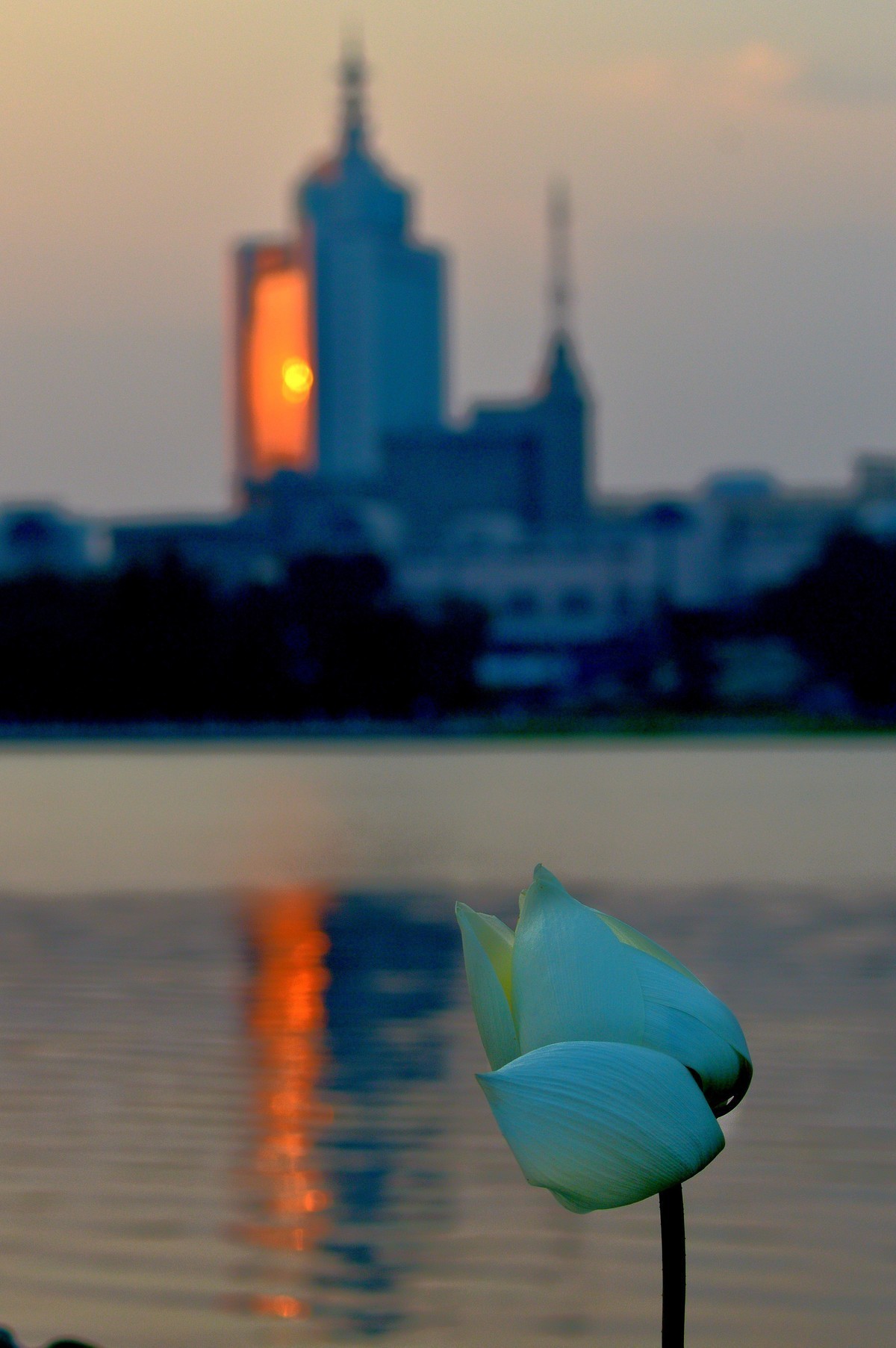 #回顾2019# —— 莲花池的黄昏