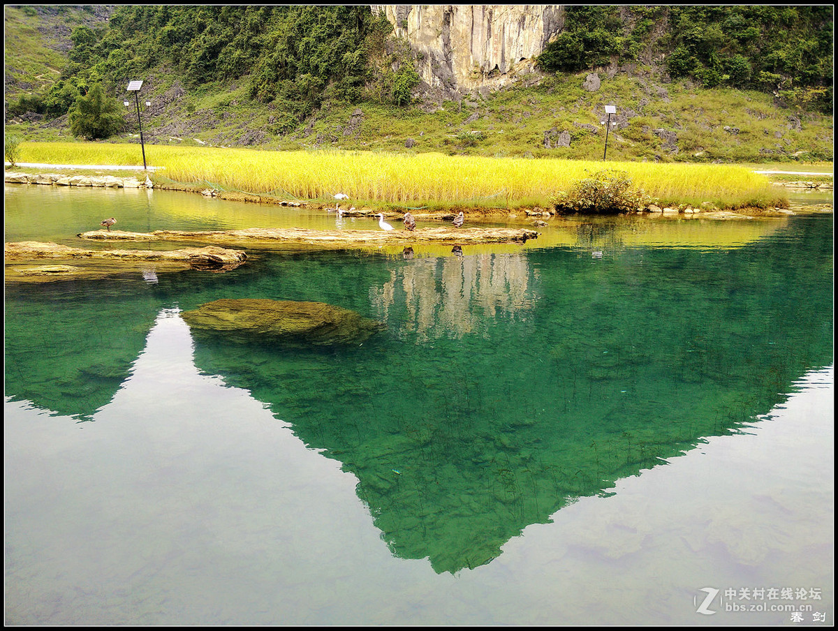 靖西之美（手机版）
