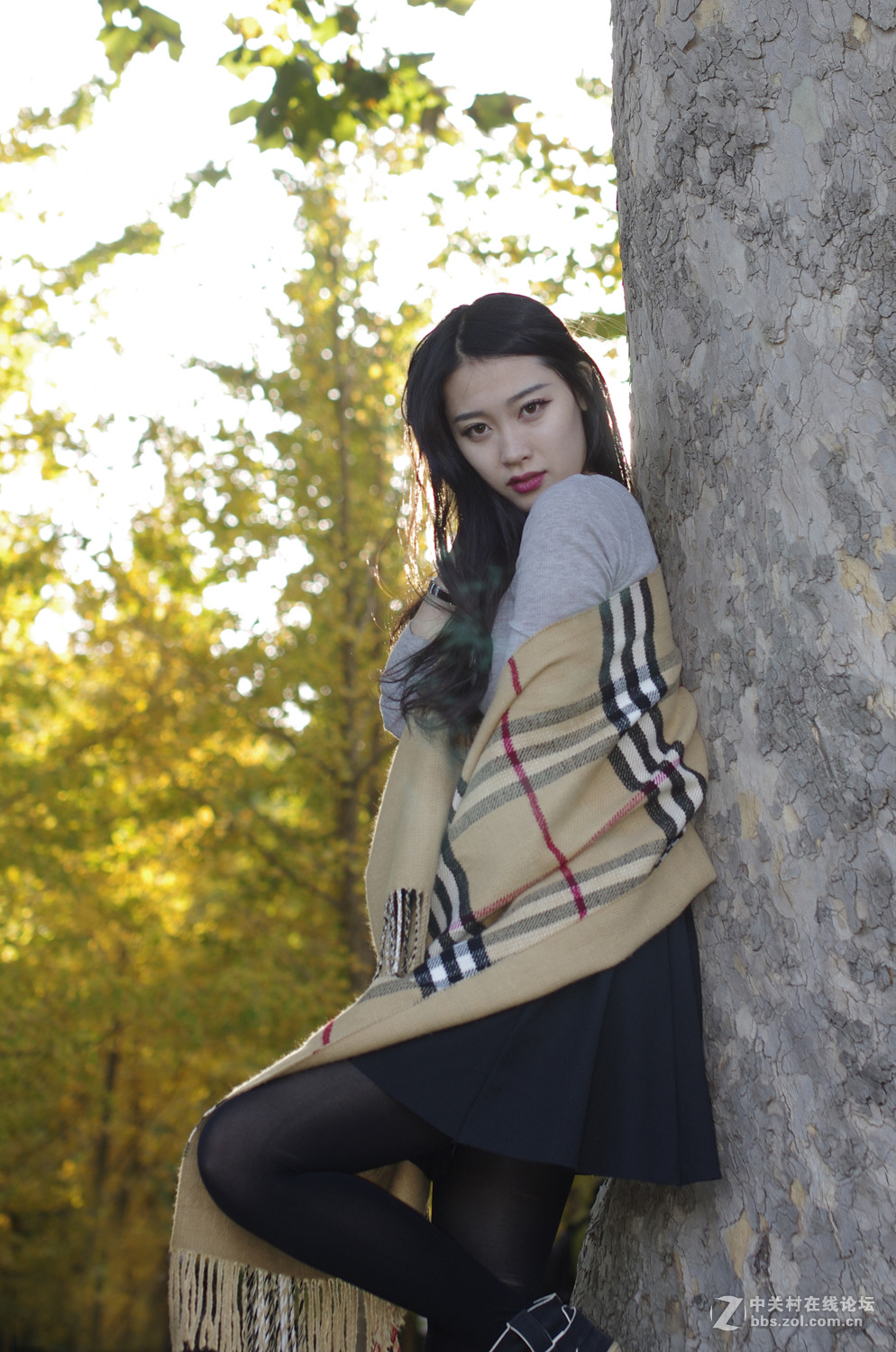 #2015MissChinajoy摄影大赛# 一秋日（1）