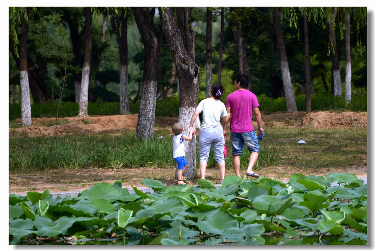 #ZOL月赛-记录最后的2015#~~~~我身边的人