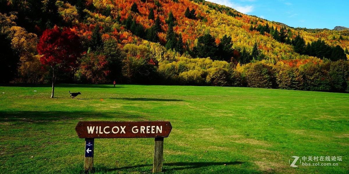 读万卷书行万里路：新西兰（3）