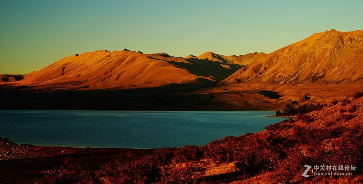 读万卷书行万里路：新西兰（3）