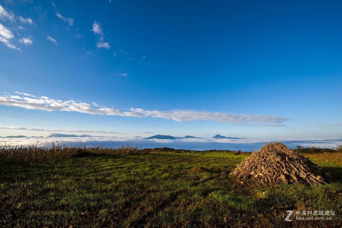 此景只应天上有，人间哪得几回见