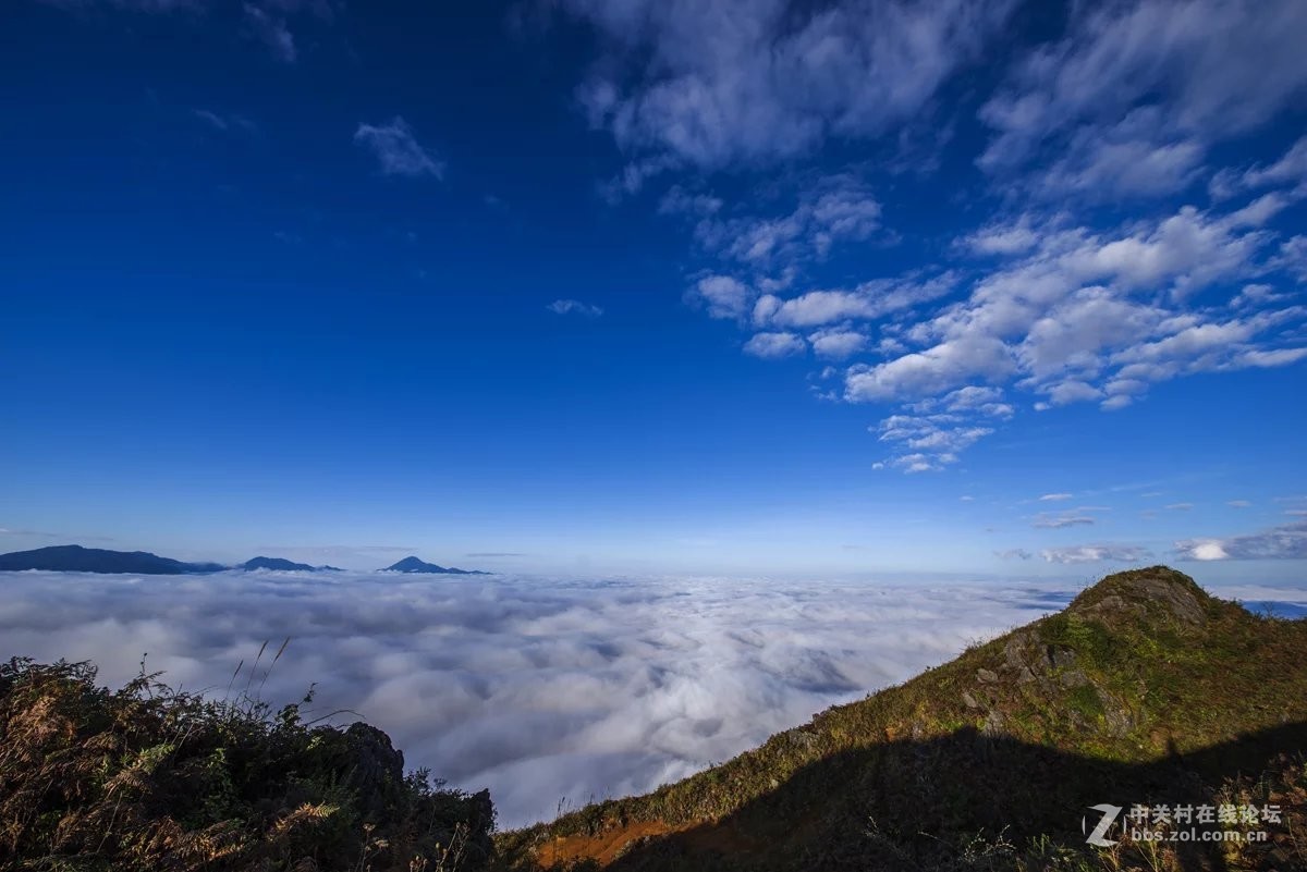 此景只应天上有，人间哪得几回见
