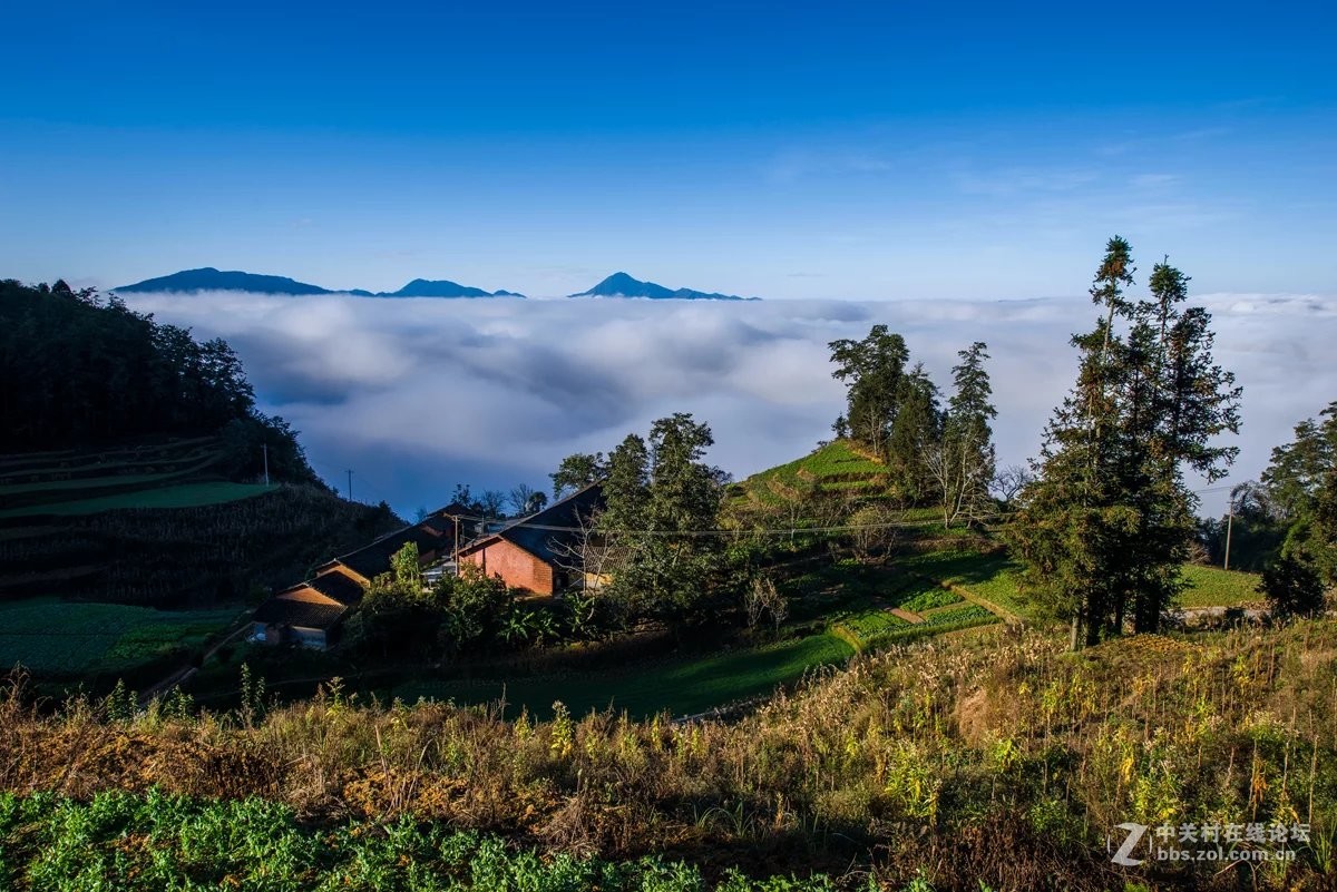 此景只应天上有，人间哪得几回见