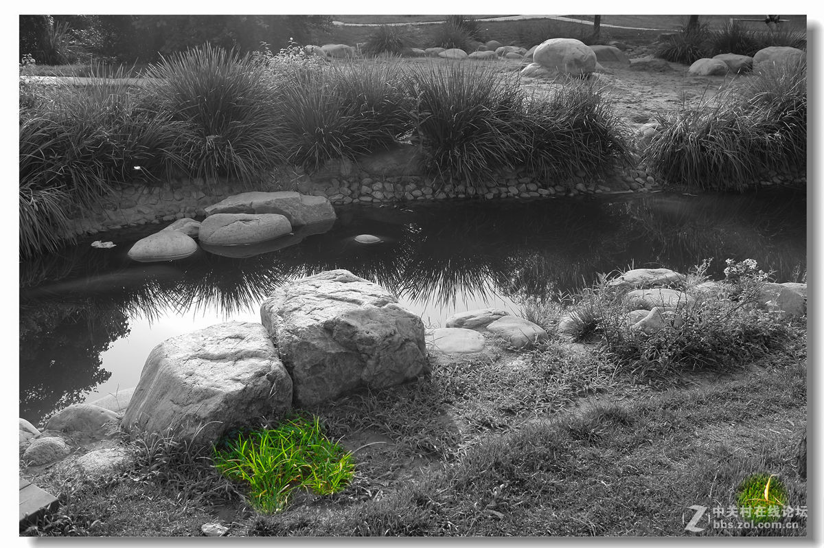 春天來了-幾張後期白片