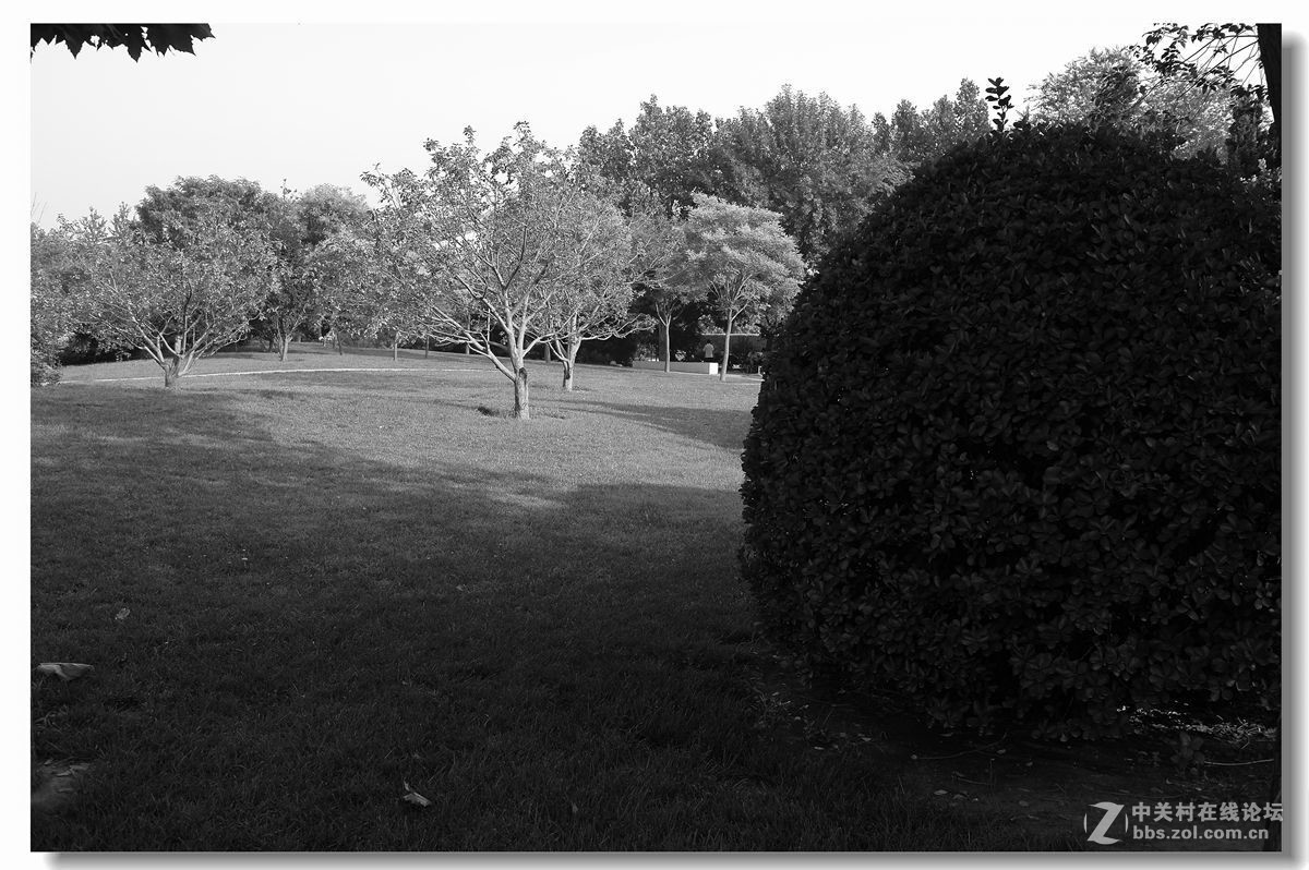 春天來了-幾張後期白片