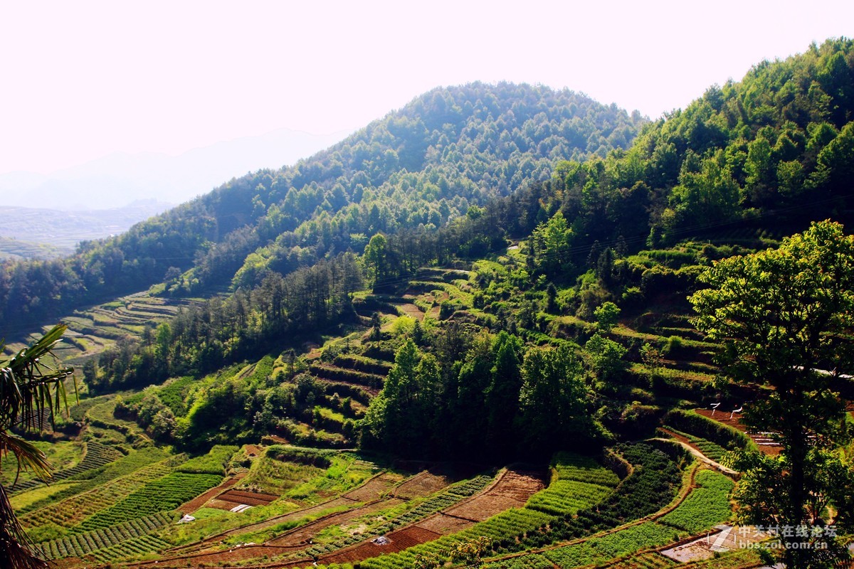 浙江磐安十八涡