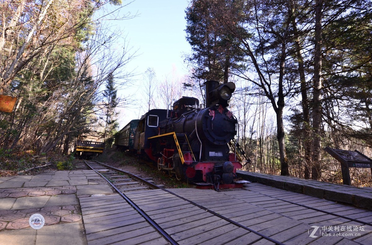 小兴安岭秋韵 【16P】 北京山人摄影