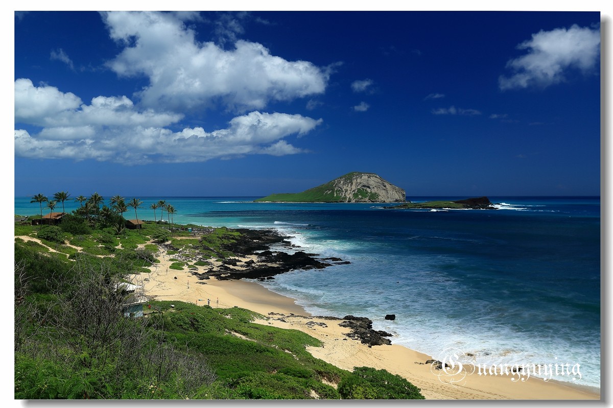 夏威夷玛卡普吾海滩