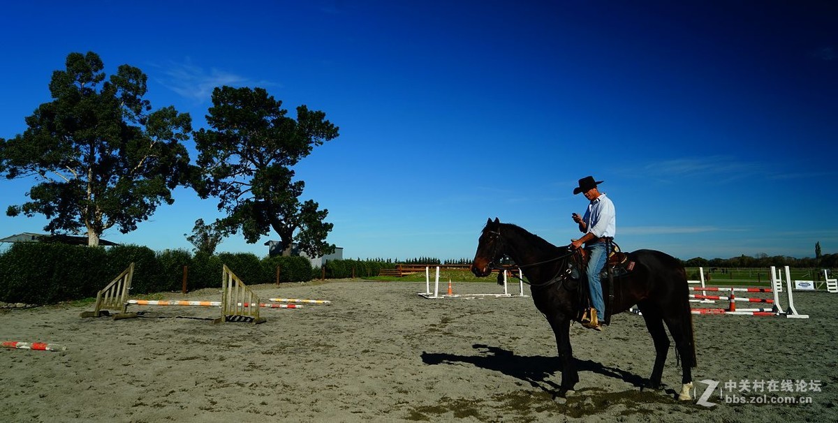 读万卷书行万里路：新西兰（3）