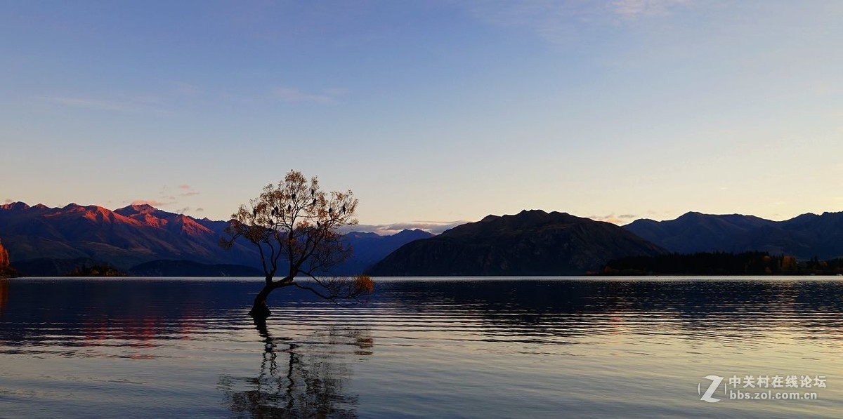 读万卷书行万里路：新西兰（3）