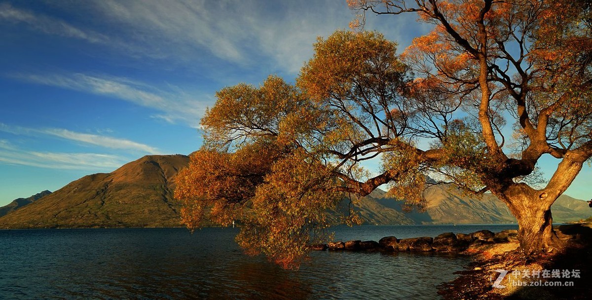 读万卷书行万里路：新西兰（3）