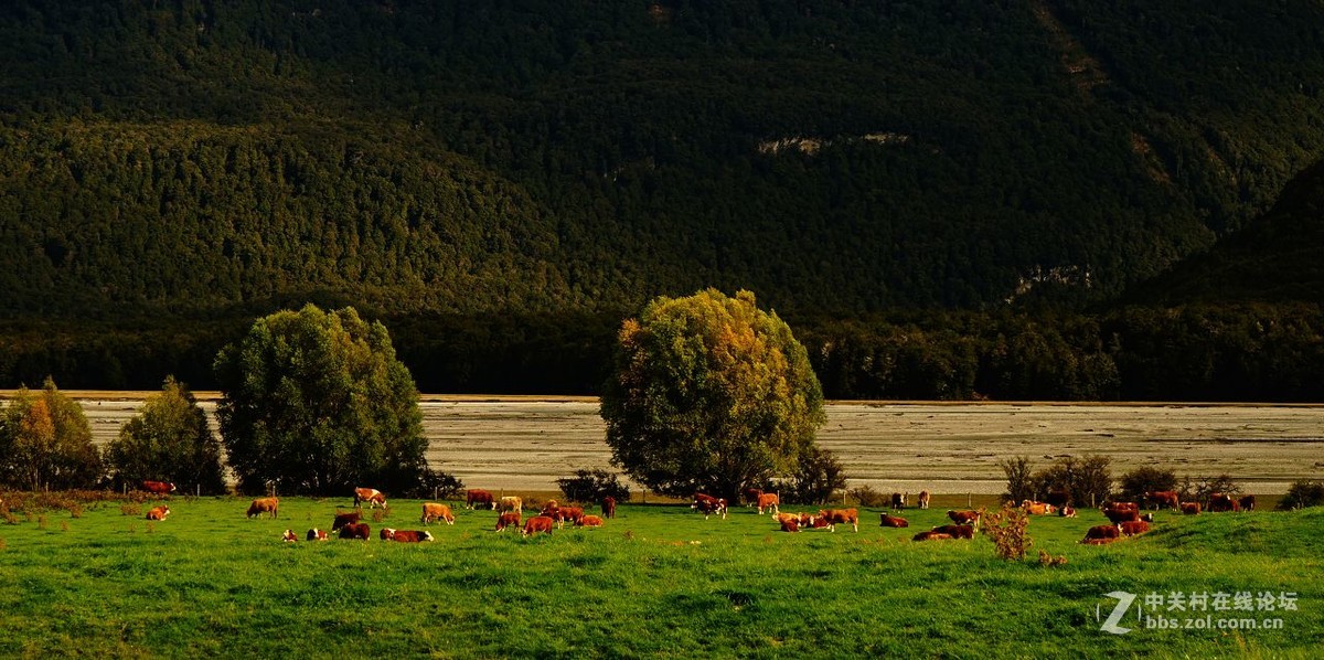 读万卷书行万里路：新西兰（3）