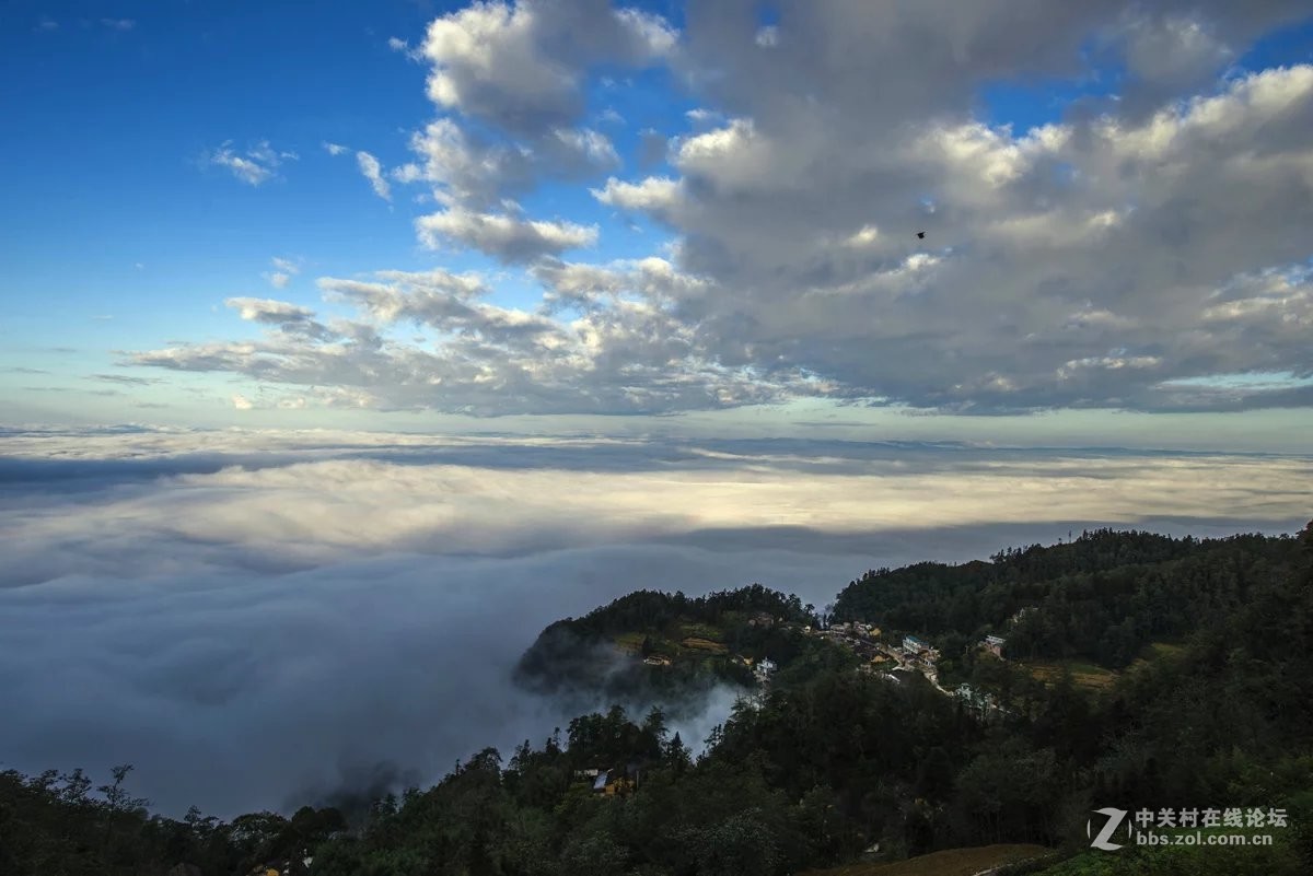 此景只应天上有，人间哪得几回见