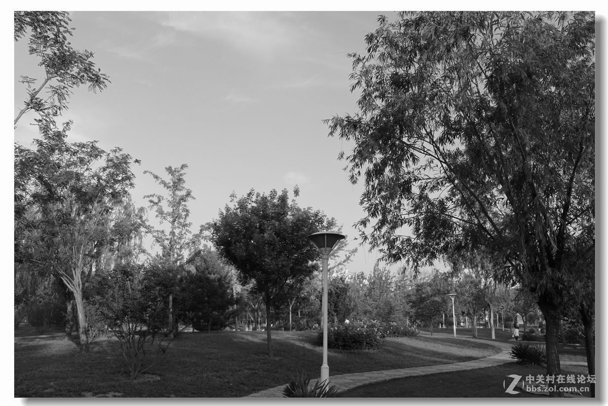 春天來了-幾張後期白片