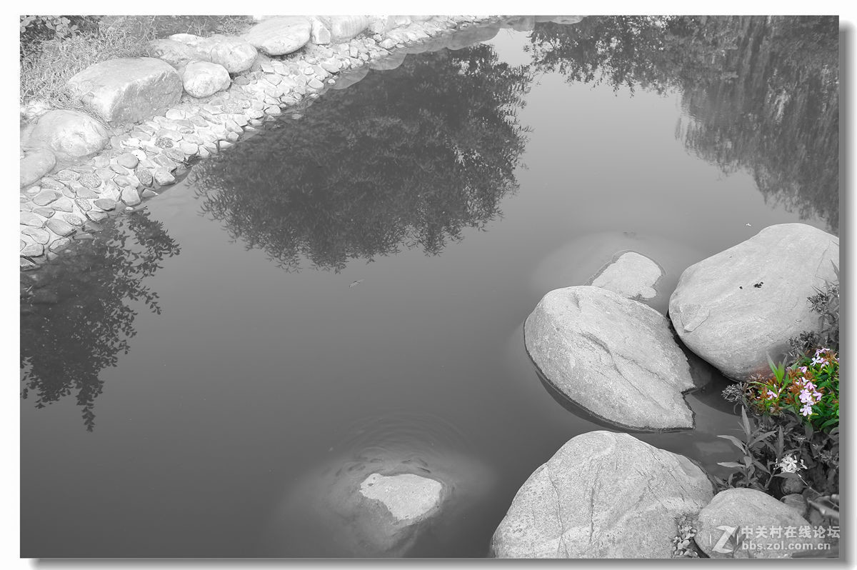 春天來了-幾張後期白片