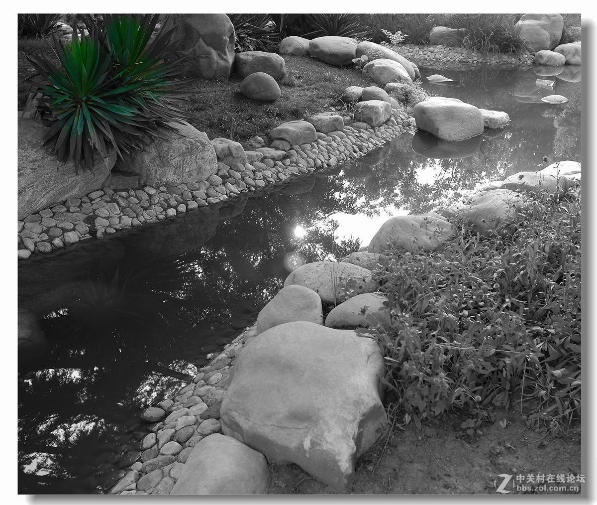 春天來了-幾張後期白片