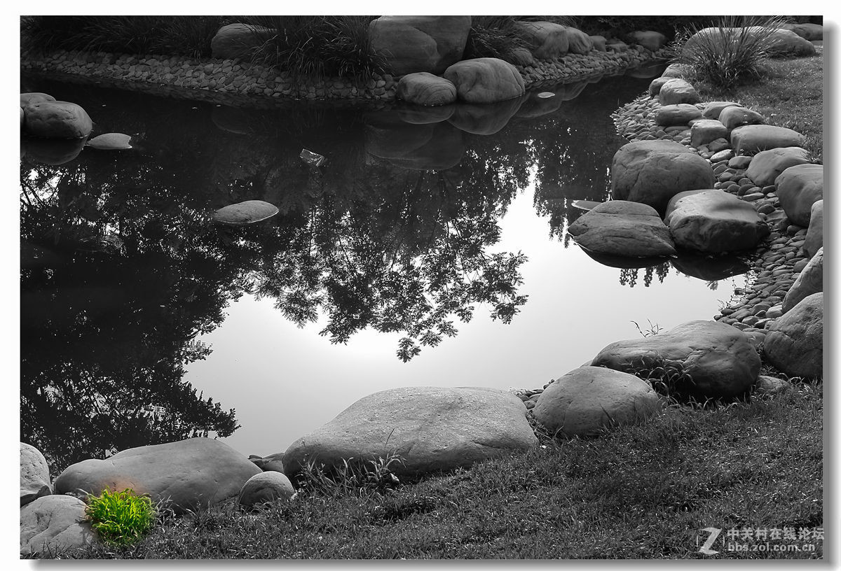 春天來了-幾張後期白片