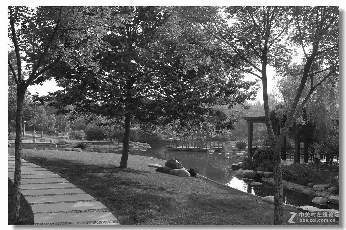 春天來了-幾張後期白片