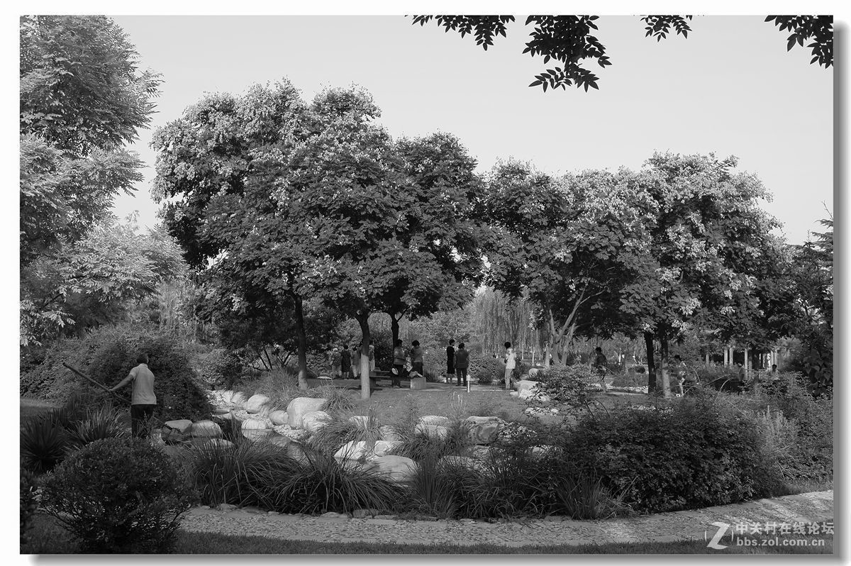 春天來了-幾張後期白片