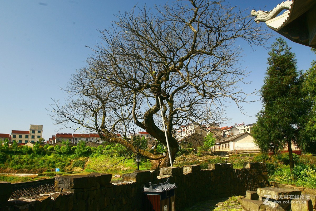 浙江磐安十八涡