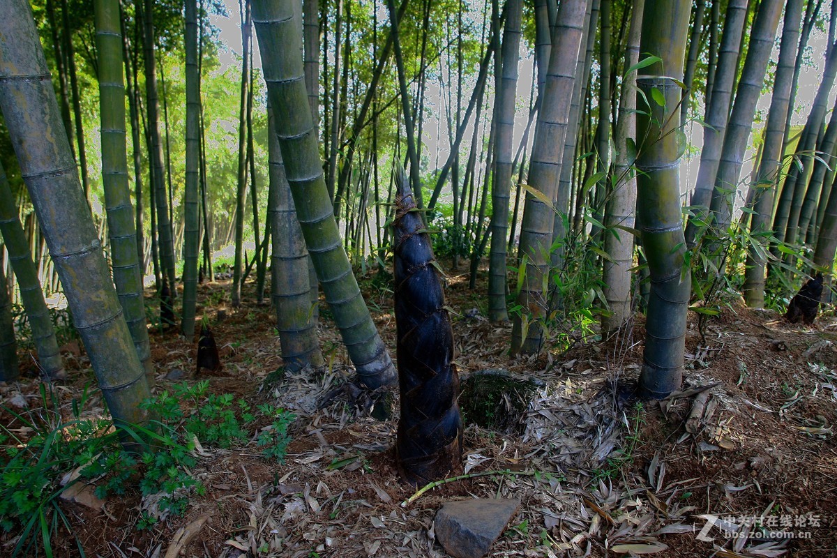 浙江磐安十八涡