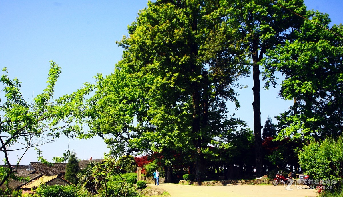 浙江磐安十八涡