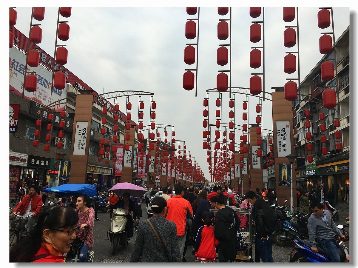 洛阳丽景门十字街随拍