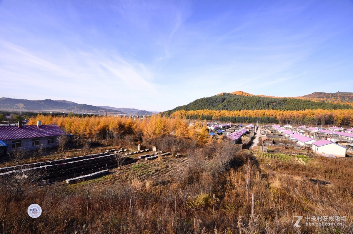 小兴安岭秋韵 【16P】 北京山人摄影