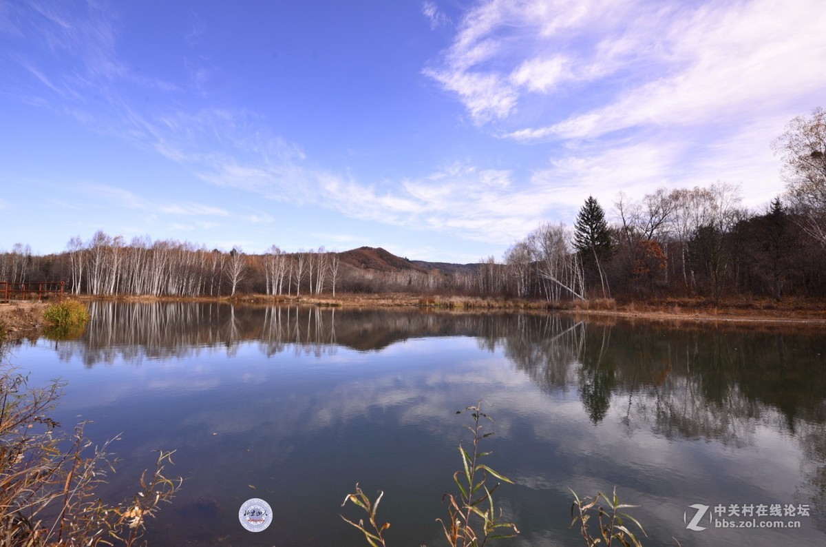 小兴安岭秋韵 【16P】 北京山人摄影