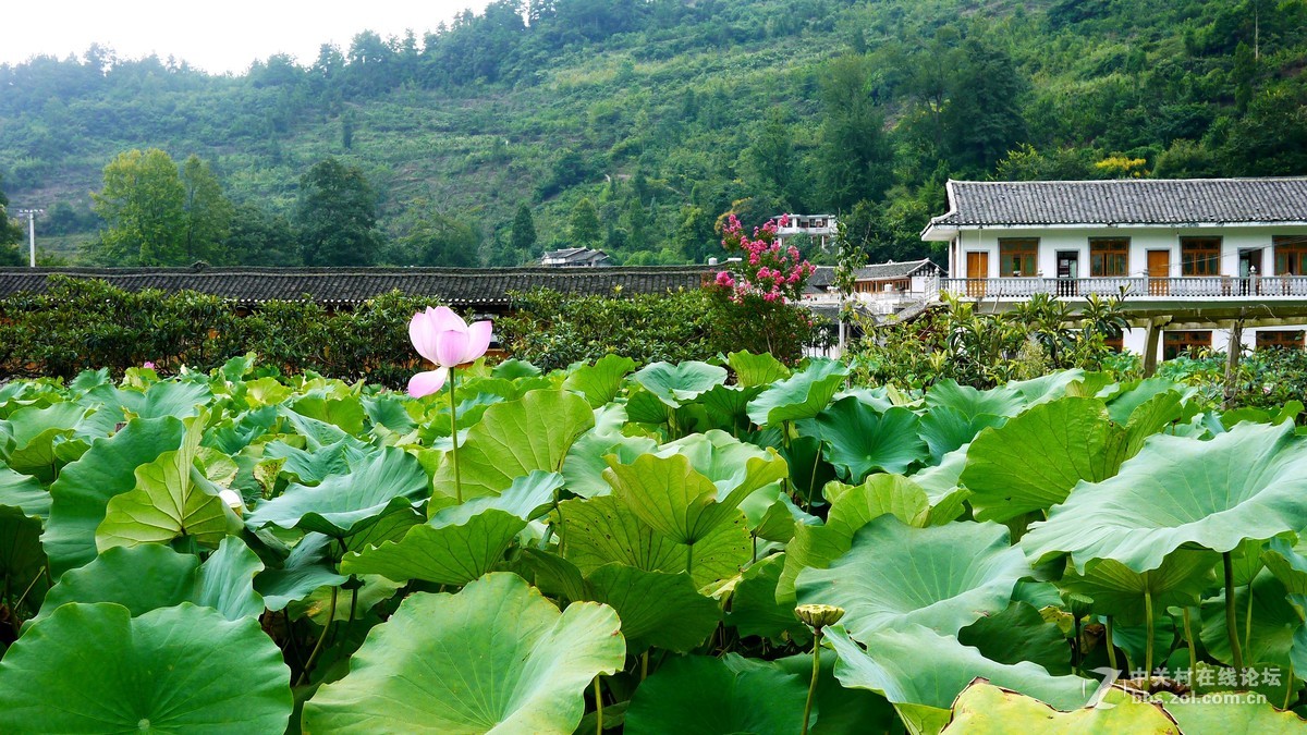 又是南江消暑时