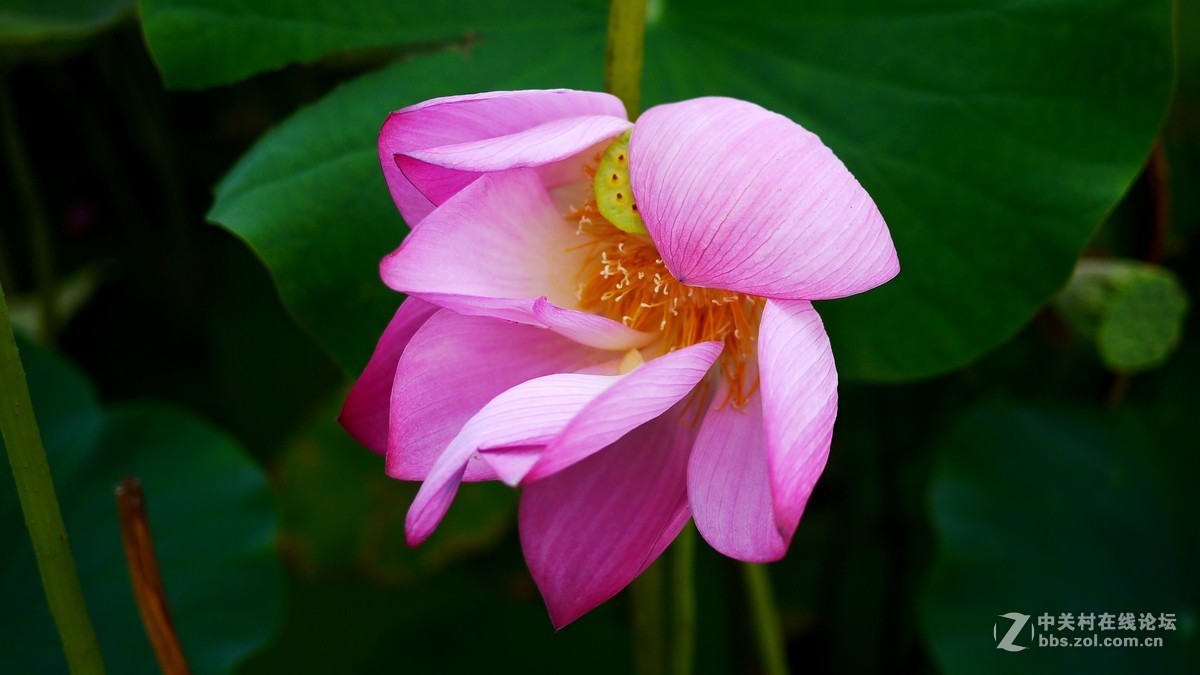 又是南江消暑时