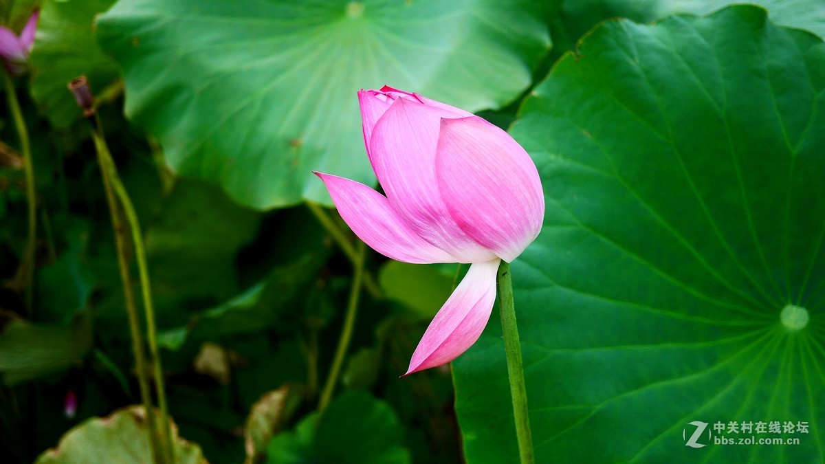 又是南江消暑时