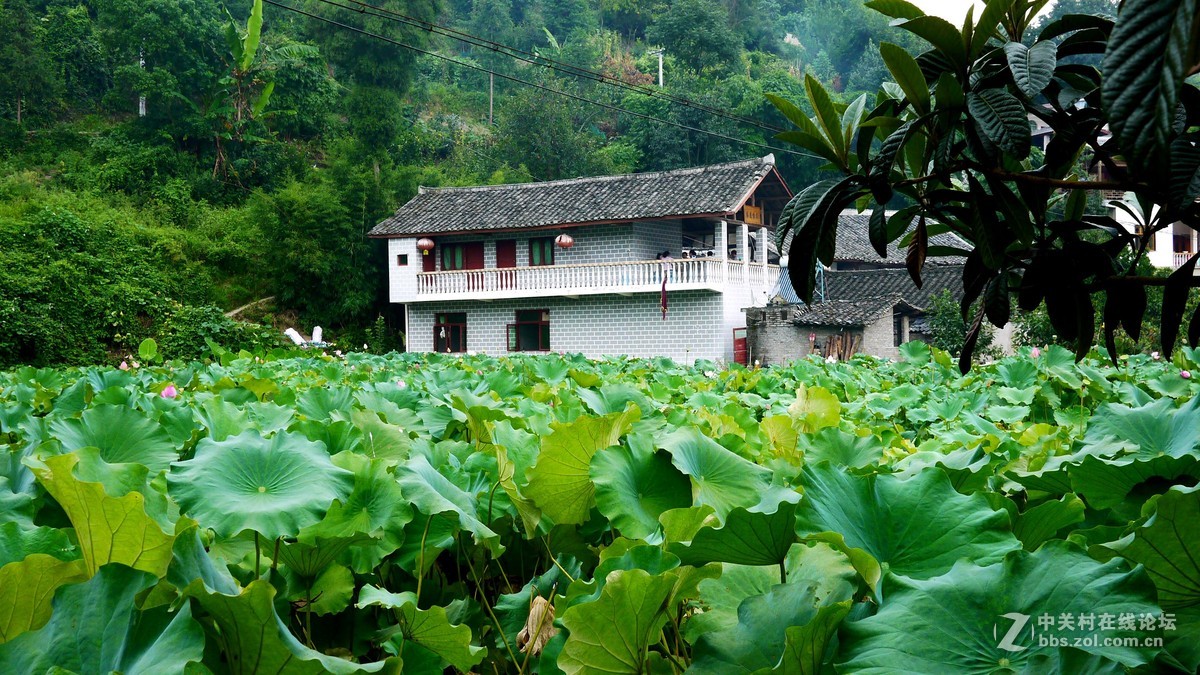 又是南江消暑时