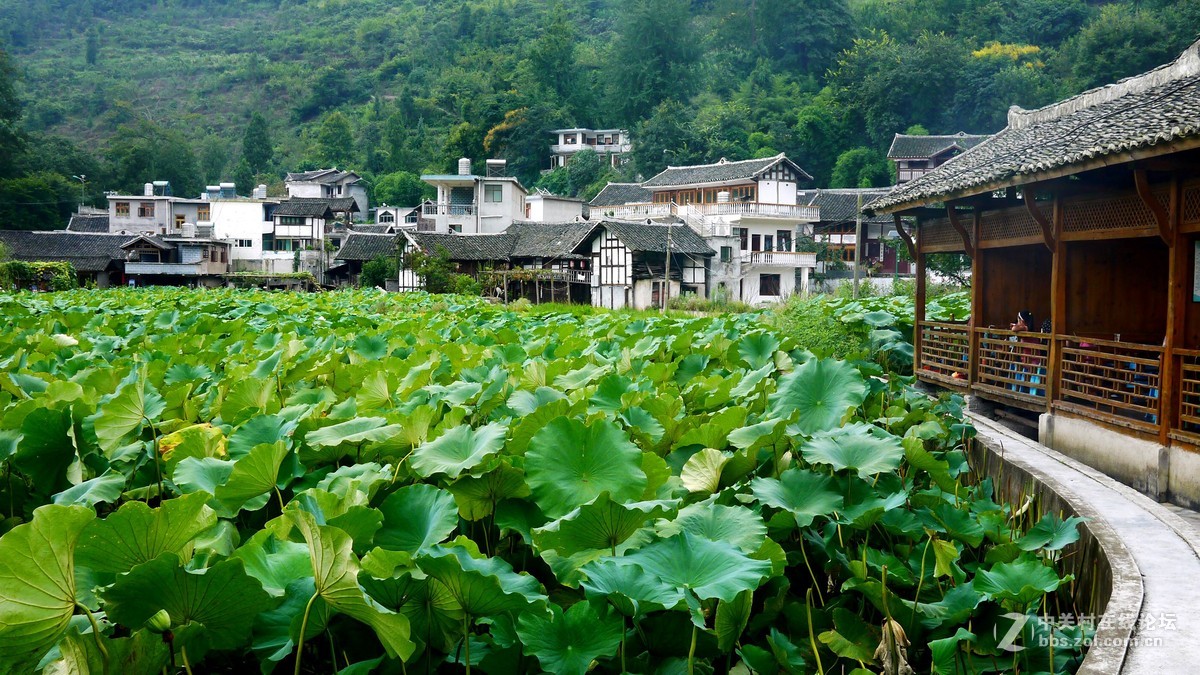 又是南江消暑时