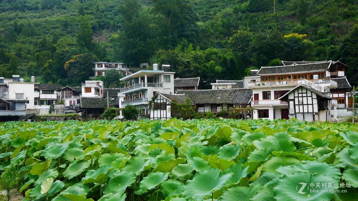 又是南江消暑时