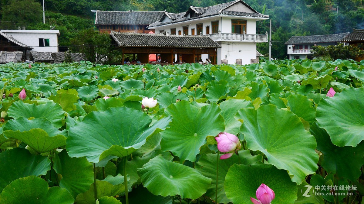 又是南江消暑时