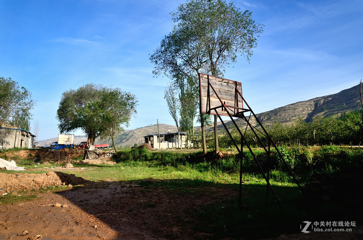 村头那棵树——甘肃贫困村纪实