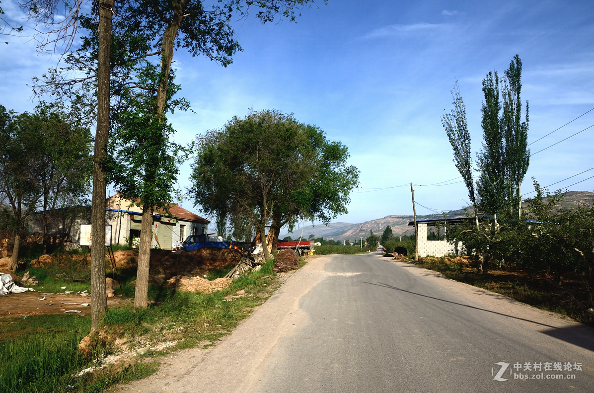 村头那棵树——甘肃贫困村纪实