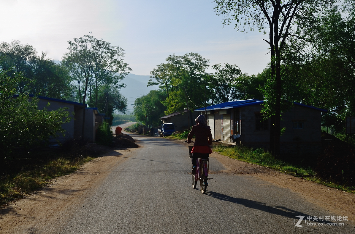 村头那棵树——甘肃贫困村纪实