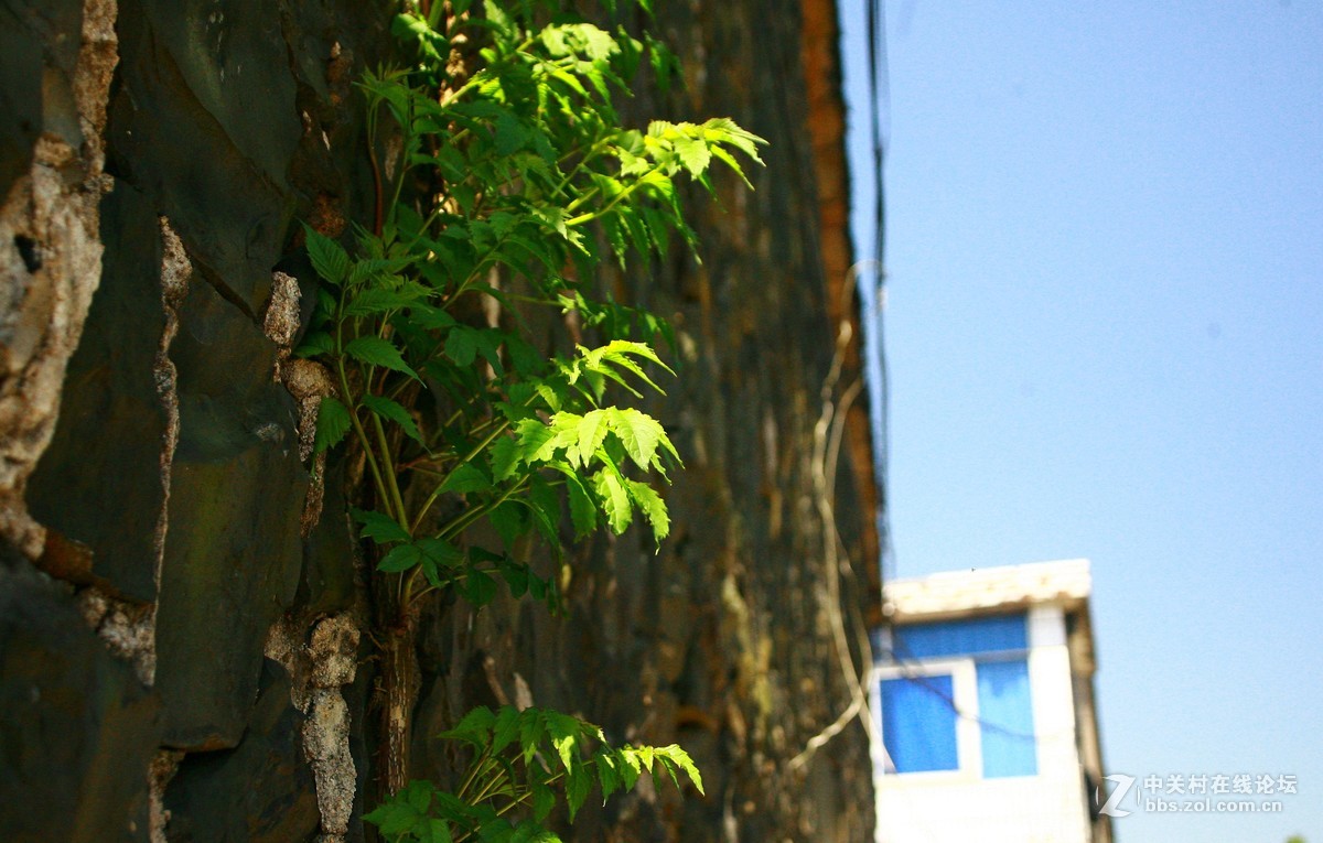 浙江磐安十八涡