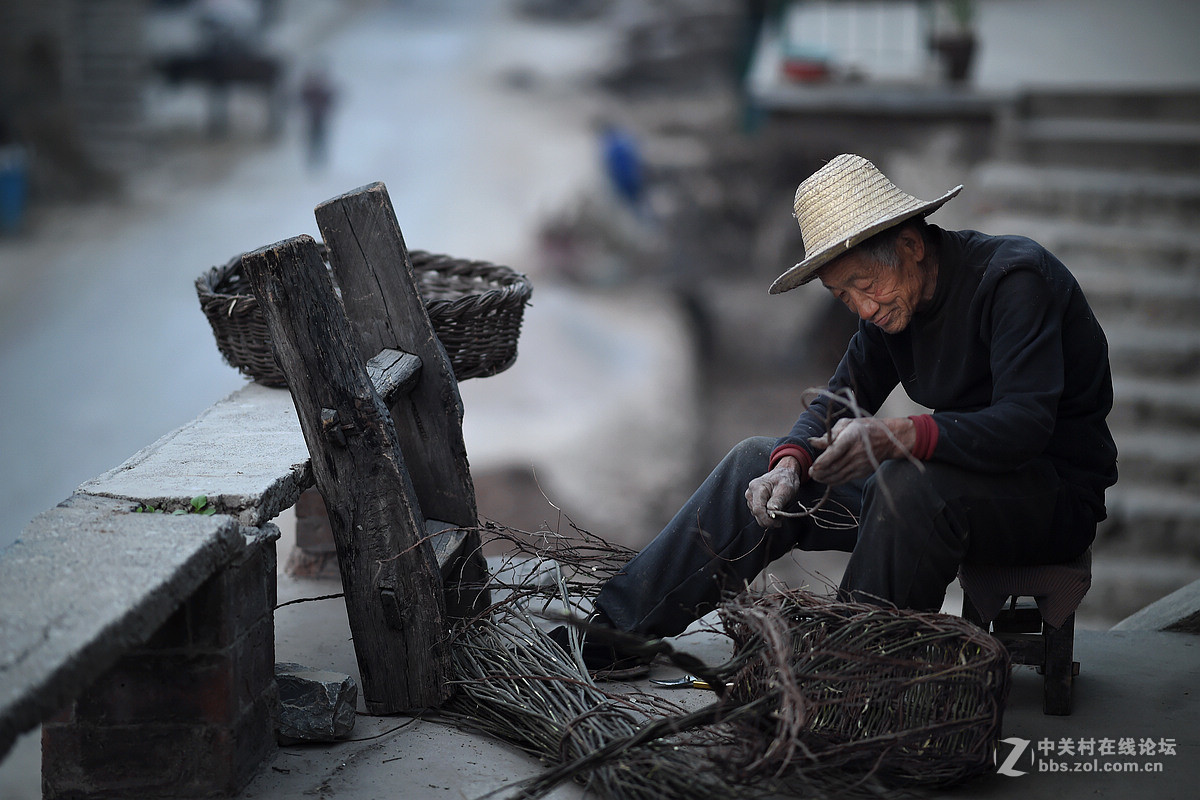 驴背上的村庄——王金庄纪实