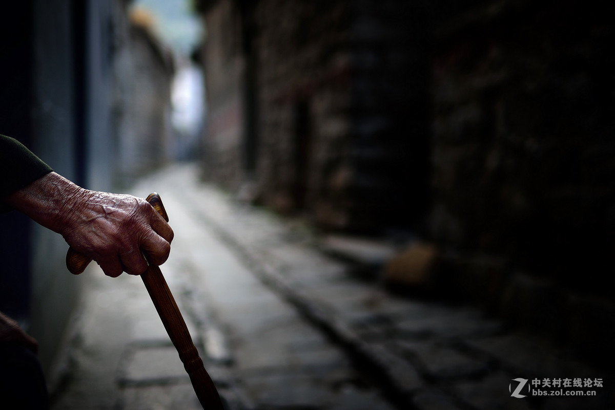 驴背上的村庄——王金庄纪实