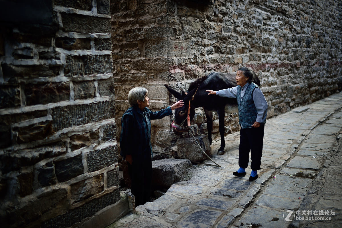 驴背上的村庄——王金庄纪实