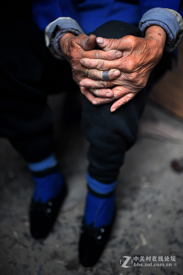 驴背上的村庄——王金庄纪实