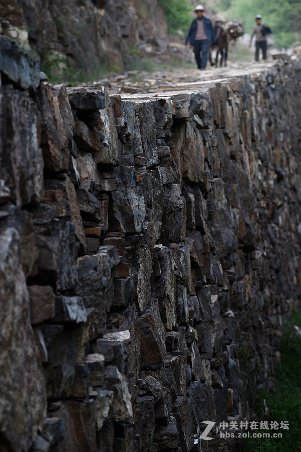 驴背上的村庄——王金庄纪实