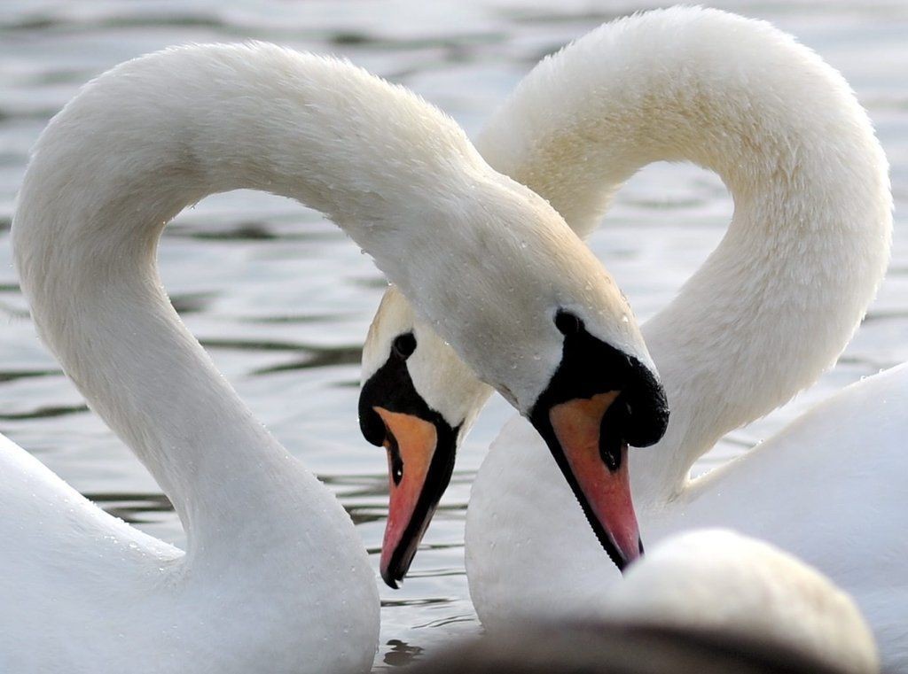 #七夕-秀恩爱#秀一波，哈哈