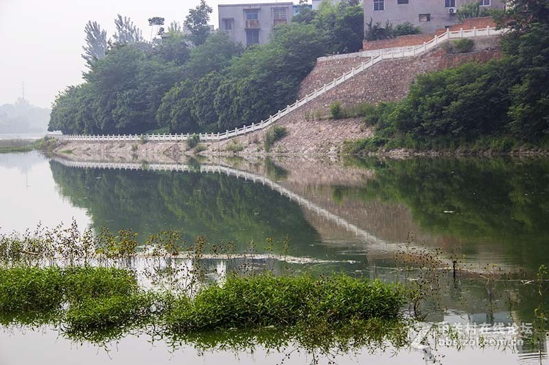 摄影。因为喜欢，所以坚持，尽管走不出瓶颈，也绝不会放弃。